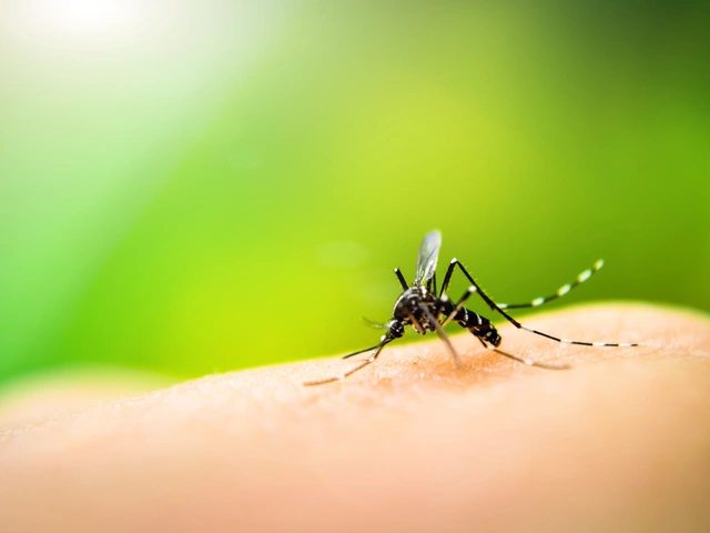 Zika Virus Growing Concerns