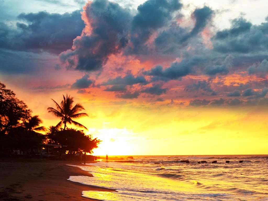 All About Hawaii