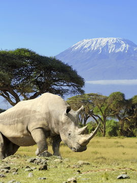 Mount Kilimanjaro