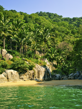 Puerto Vallarta