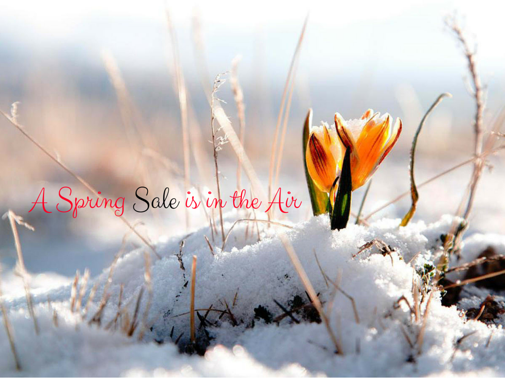 A Spring Sale is in the Air.png