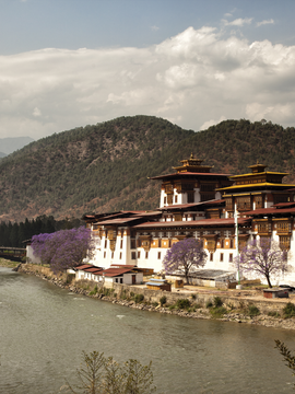 Punakha