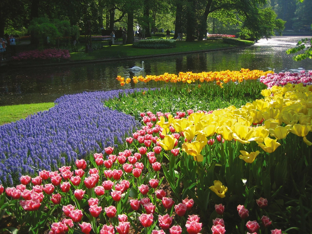 Uniworld - HOLLAND & BELGIUM AT TULIP TIME