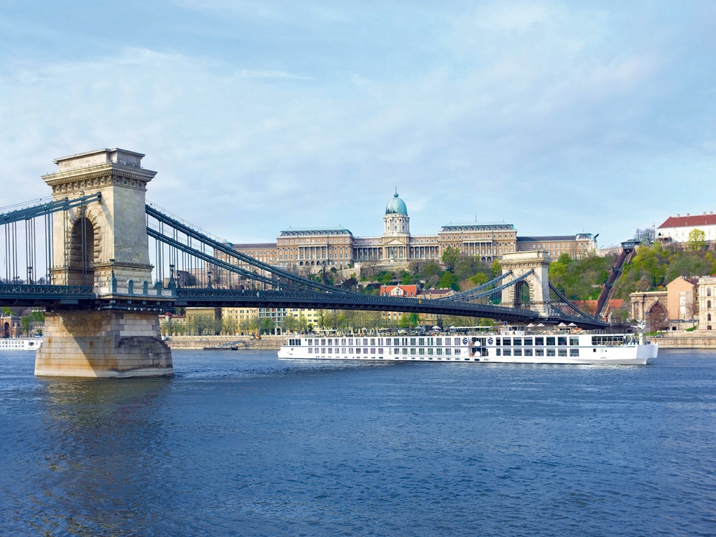 Brilliant Bordeaux