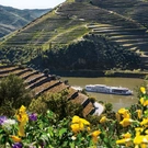 IMAGE-22-Portugal-Spain-Douro-River.jpg