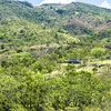 Honduras