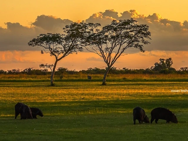New Wetlands, Wildlife and Waterfalls Photo Walking Tour!