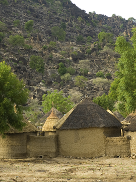 Cameroon
