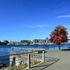 Explore Haida Heritage at Kay Llnagaay