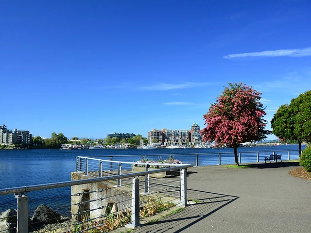 Explore Haida Heritage at Kay Llnagaay