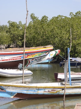 Gambia