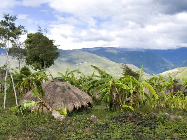 Guinea