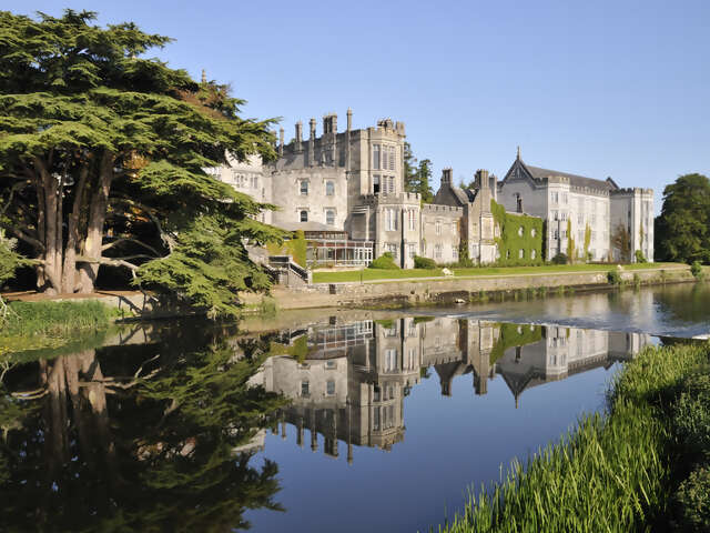 Adare