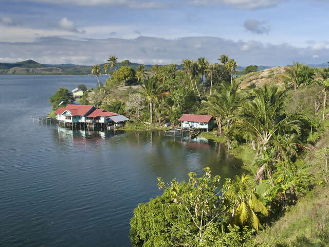 Papua New Guinea