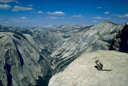 Yosemite Adventure