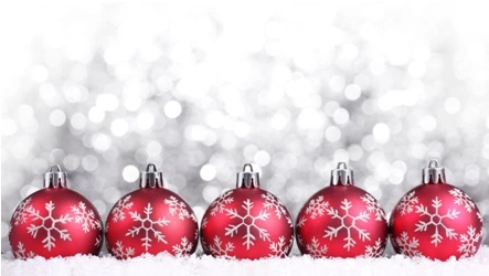 Walnut Grove Travel Hosts Their 2nd Annual Christmas Fundraiser