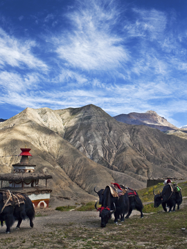 Nepal