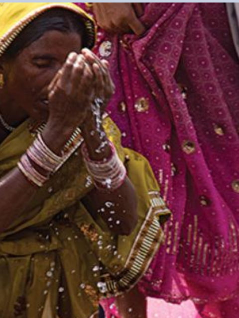 North India Highlights and Experience