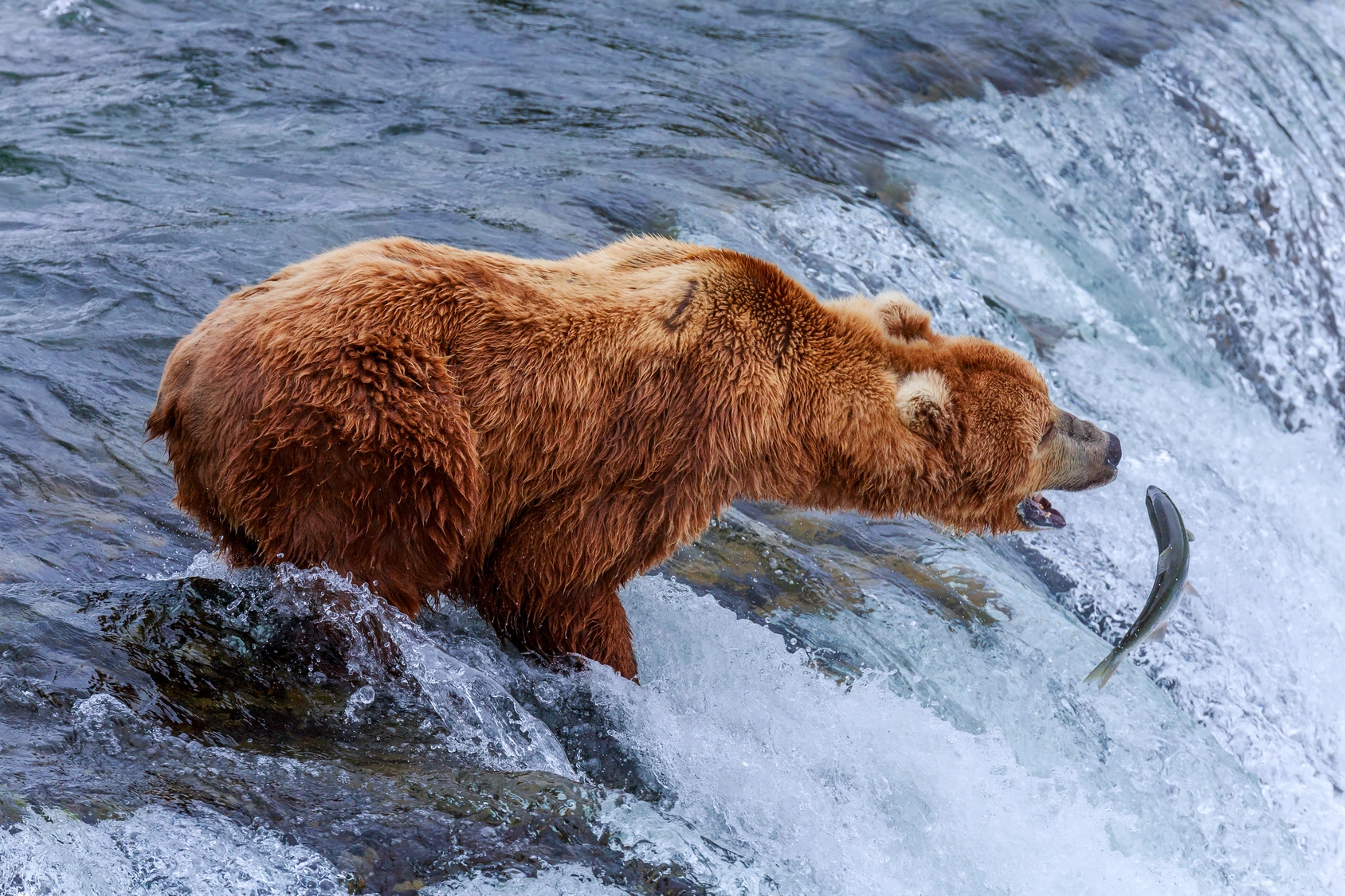 Sneak Peak at 10 Alaskan Ports of Call