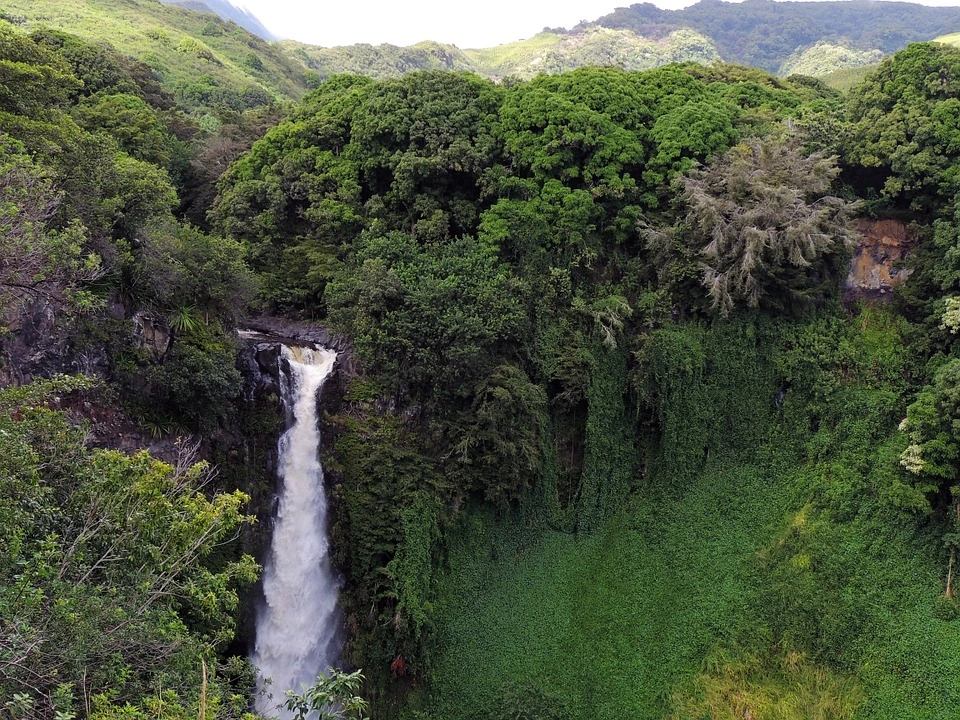 Exploring the Beauty of Maui