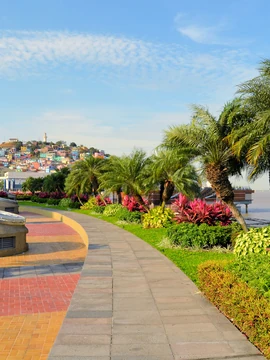 Guayaquil