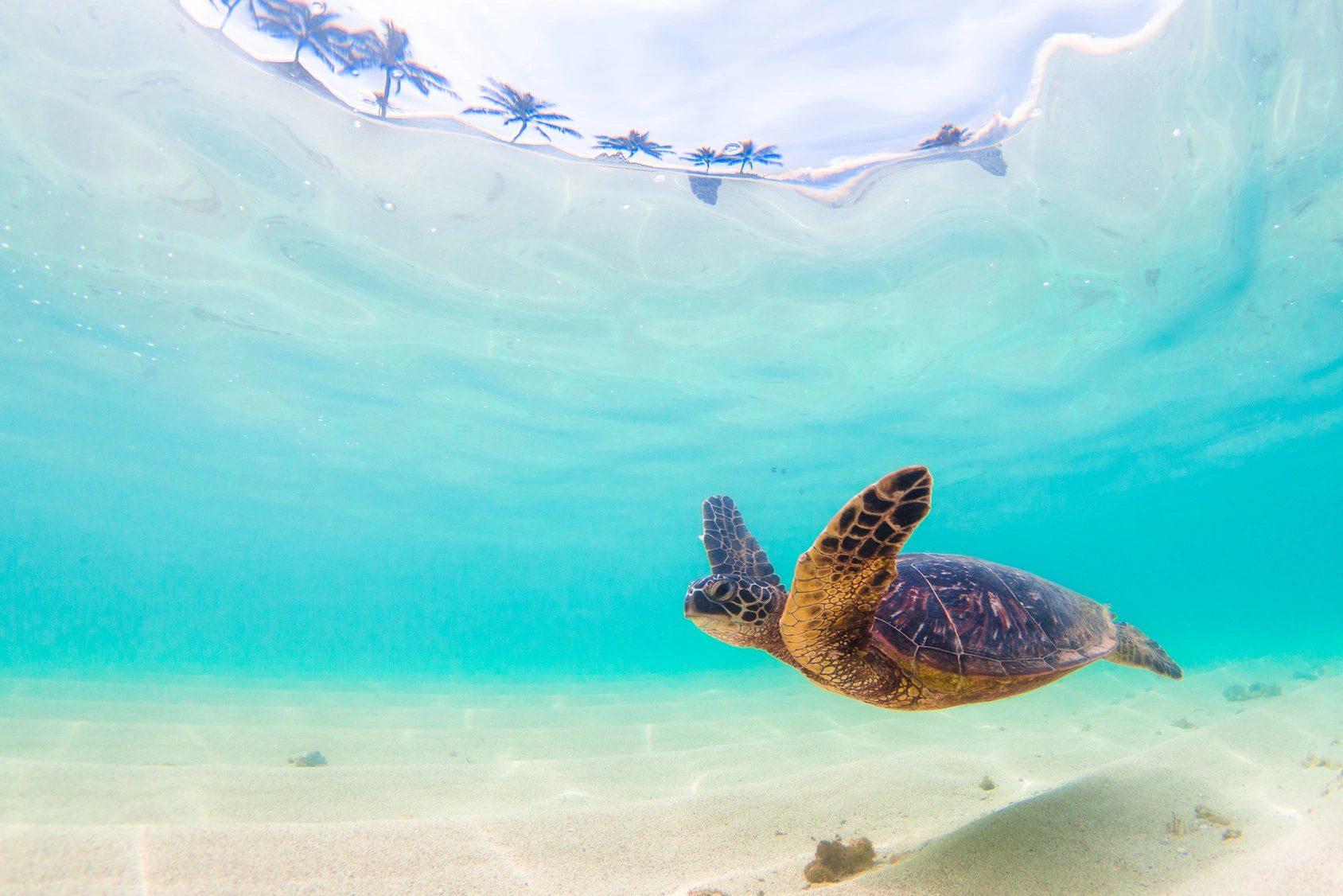Quick Look at Hawaii's 4 Most Popular Islands