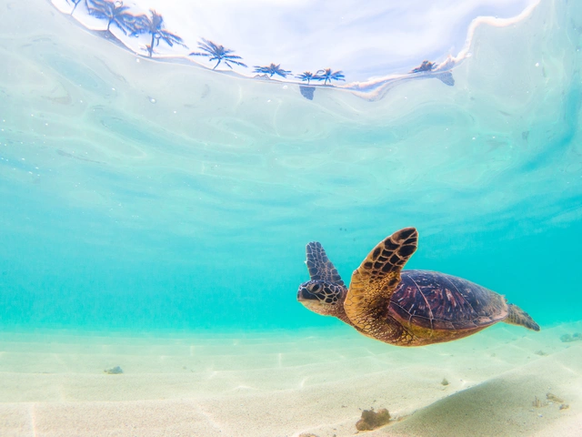 Quick Look at Hawaii's 4 Most Popular Islands