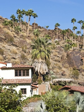 Palm Springs