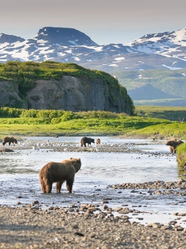 Alaska