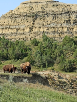 North Dakota