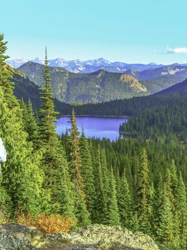 Washington