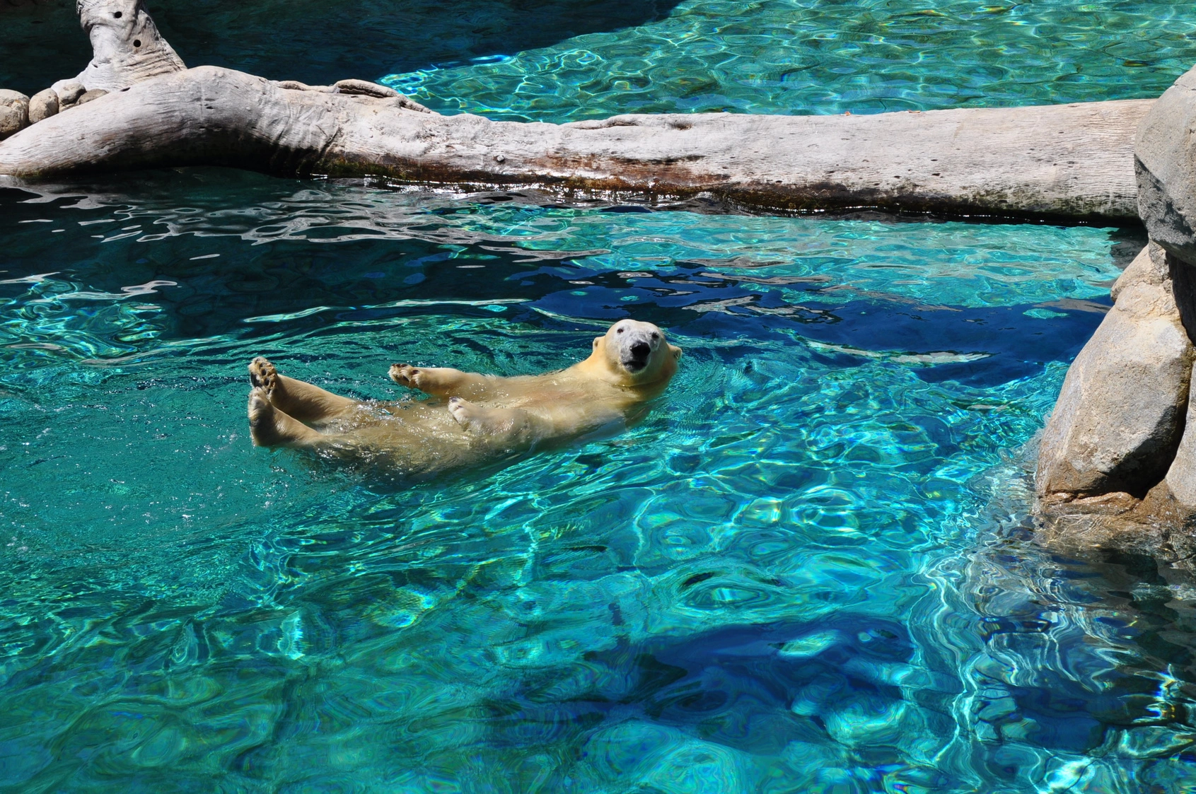 12 Just Plain Weird, Unusual or Interesting Canadian Facts