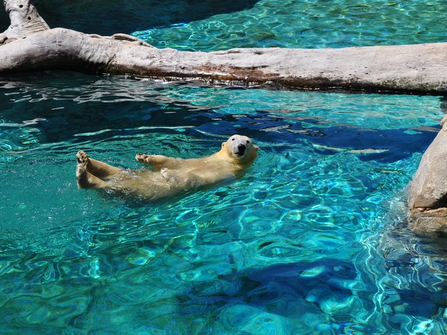 12 Just Plain Weird, Unusual or Interesting Canadian Facts