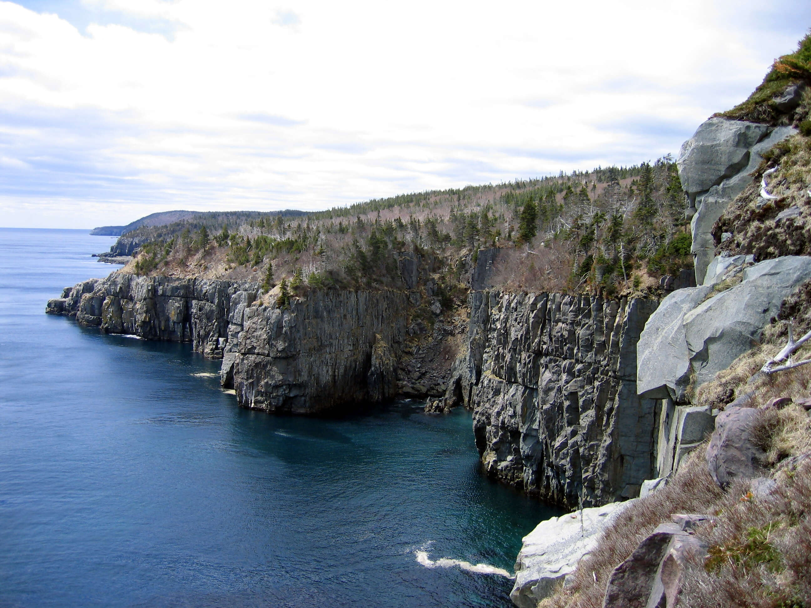 A New Reason To Visit Newfoundland - Mistaken Point Recently Designated An UNESCO World Heritage Site