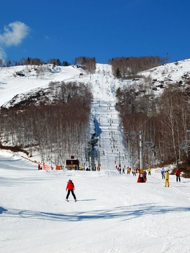 Beaver Creek