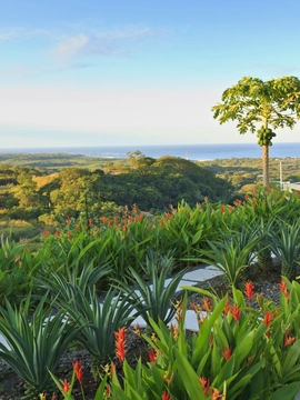 Tamarindo Airport