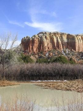New Mexico