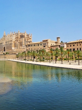 Palma