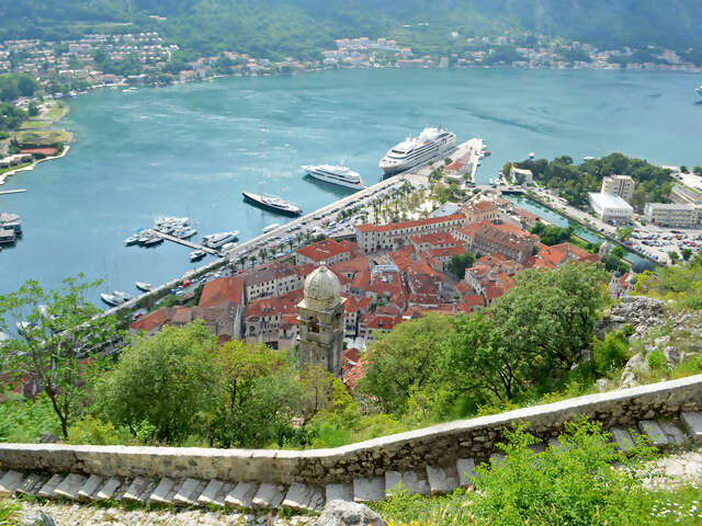 Kotor