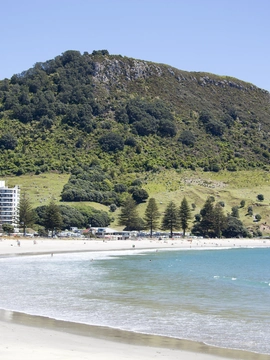 Tauranga