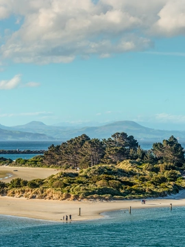 City of Dunedin