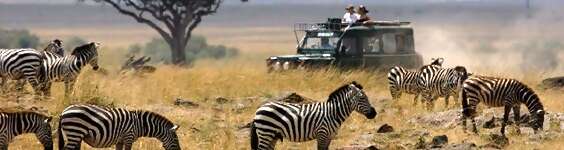 Louise's Africa Tour