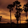 5 Day Thailand Tour