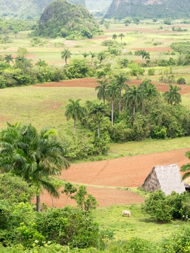 Pinar del Río