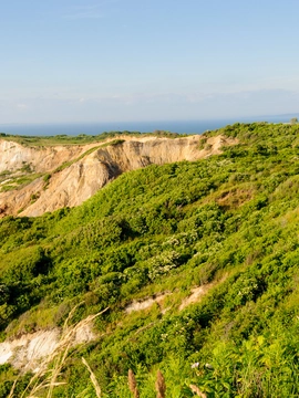 Martha's Vineyard