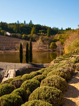 Sonoma
