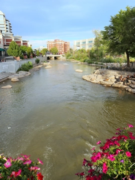 Reno