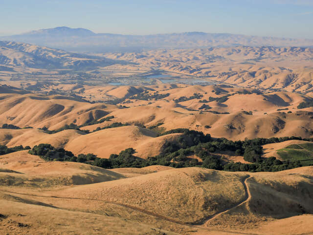 Fremont