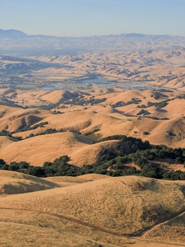 Fremont