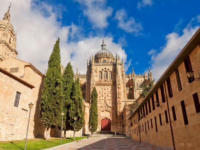 León